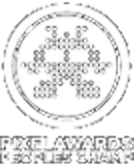 Pixel Award for Michigan Marketing Agency